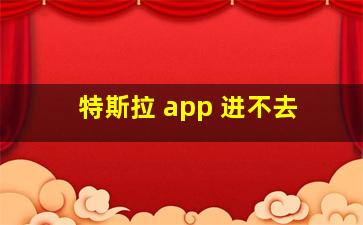 特斯拉 app 进不去